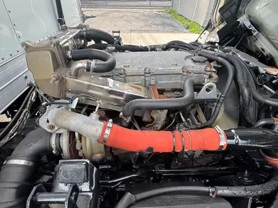 Used 2019 ISUZU NPR XD Reefer Trucks Florida US | Truck and Van Outlet #1509164