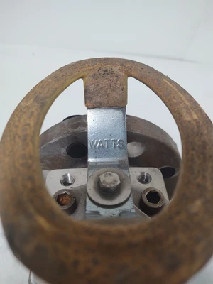 NEW Watts 262CFS