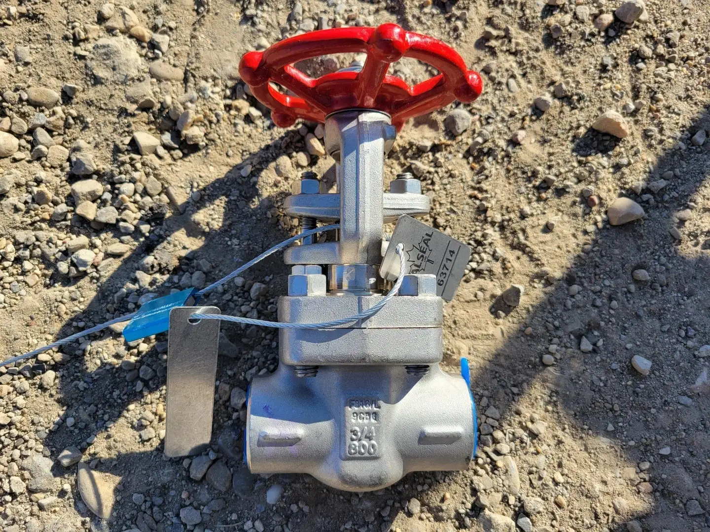 3/4" Class 800 Gate Valve B16.34