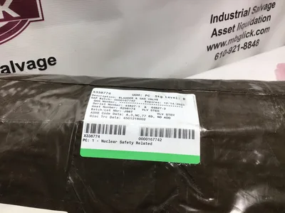 Bladder & Gas Valve Nuclear Safety