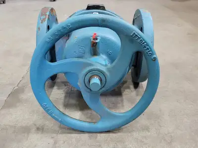 3" Diaphragm Valve Cast Iron Flanged