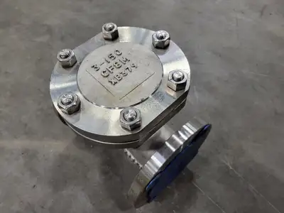 3", Class 150, Check Valve, B16.34