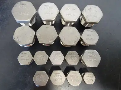 Assorted 1/2" - 1-1/2" Plugs MPT MB-316/ KI-316/SP-114 (Bag of 17)