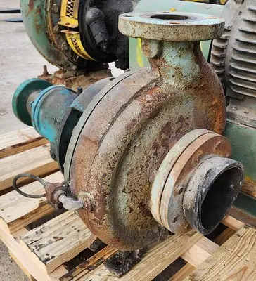 USED GOULDS 3196