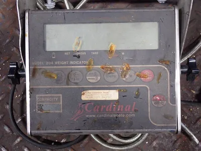 USED CARDINAL SCALE T74152