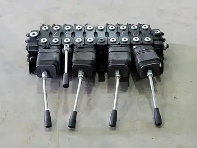 Control Valve Assembly 77010587