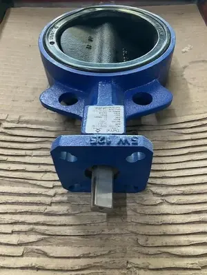 Deltech DN125/5” Valve