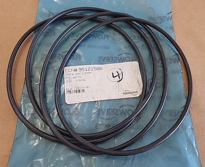 NEW Flowserve 20A11CM364