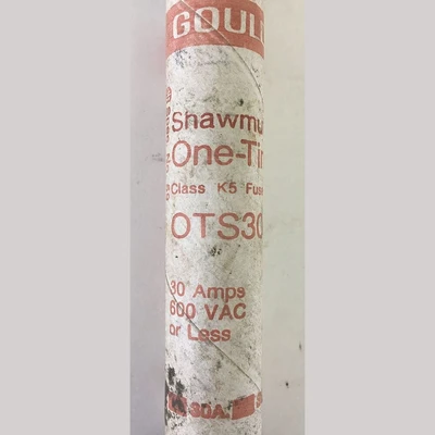 Gould 30 Amp One-Time Fuse