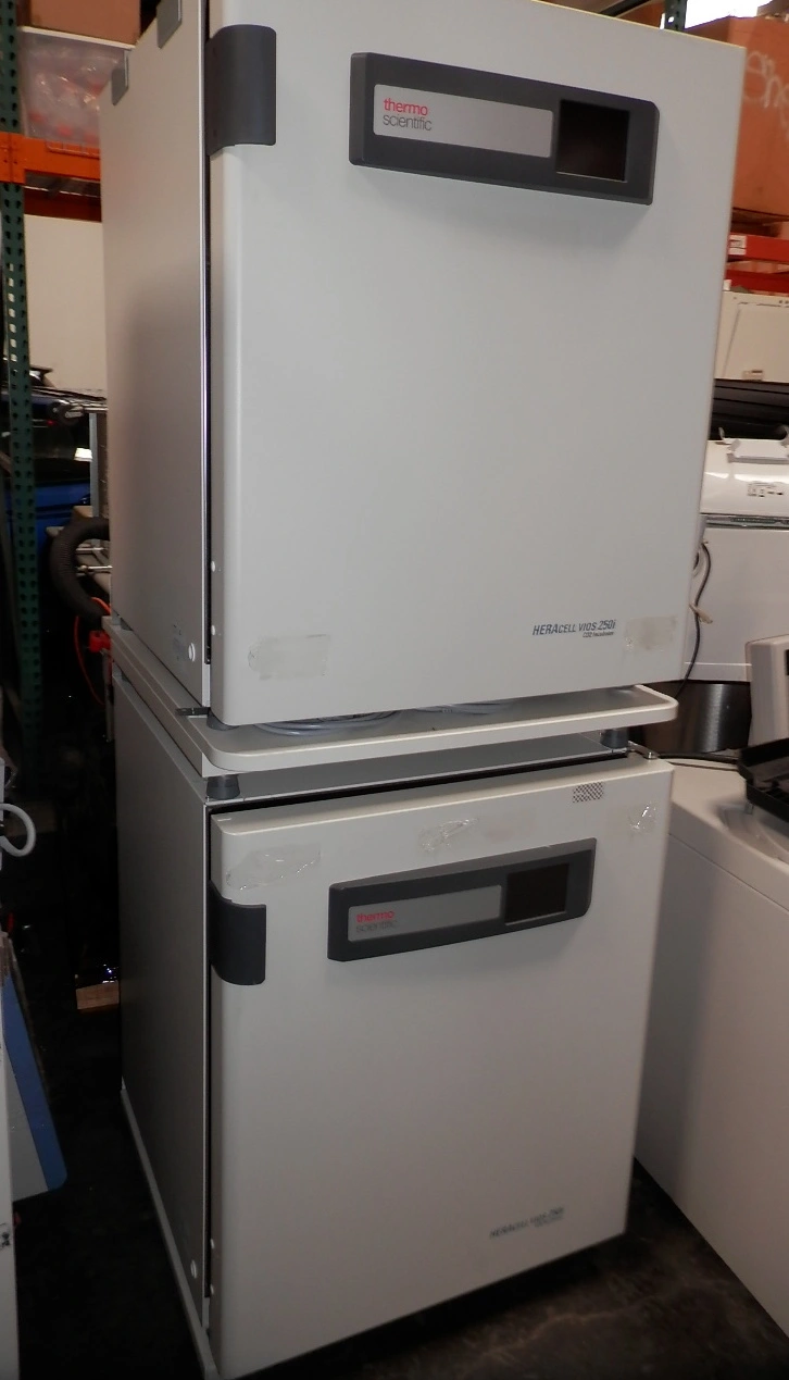 Used THERMO _UNKNOWN_ Incubators California US | Biotech Equipment Sales #1464464