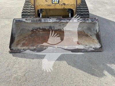 USED 2019 CATERPILLAR 289D