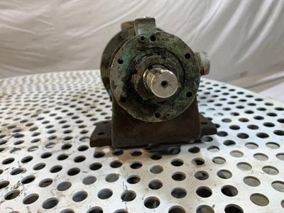 Viking H4724 1.5x1.5 SS Positive Displacement Pump