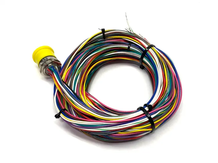 New | in-Stock Turck Actuator Sensor Receptacle Front-Mount Female M23 2m U0901-45 Disconnects Michigan US | Maverick Industrial Sales #1391084