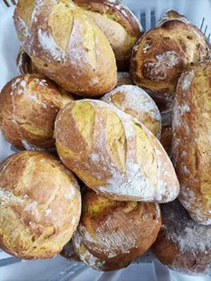 pietro Berto MD/CS Electric Deck Ovens | Harvest Equipment and Fabrication Inc (17)