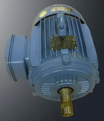 WEG W21 SEVERE DUTY ELECTRIC MOTOR