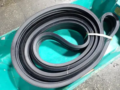 Black Belt
