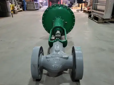 NEW FISHER CONTROLS 667