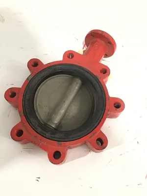 Bray ND4786/20-0600 92801-561 Lug Butterfly Valve 6″
