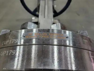 8" Class 300 Gate Valve B16.34