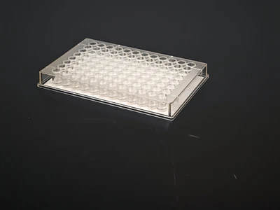 New | in-Stock Thermo Scientific 3455 Microplate Wells Missouri US | BioLabTek #1295736