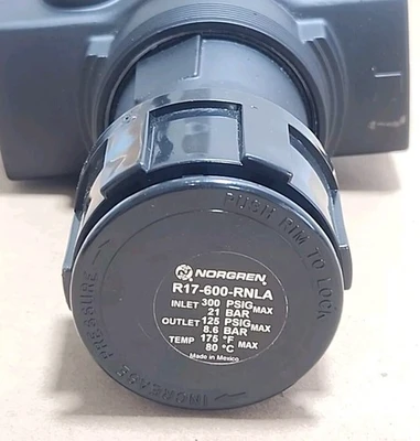 NEW Norgren R17-600-RNLA