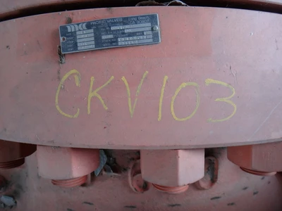 Pacific 20" 600 lb Check Valves