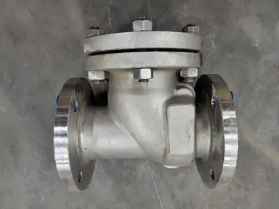 3", Class 150, Check Valve, B16.34