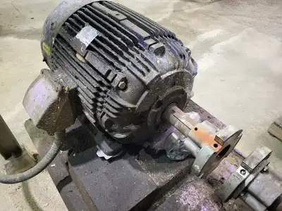 USED GOULDS 3175S