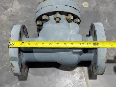 3" Class 600 Check Valve