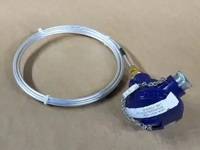 12' Averaging RTD Sensor