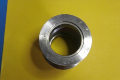 Stainless Steel Flex Coupling