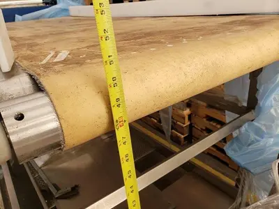 7' Berry Inspection Conveyor