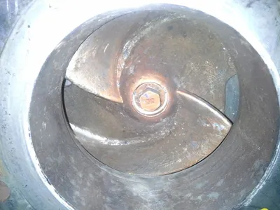USED Goulds 3175