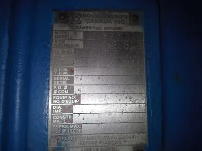 USED Goulds 3175