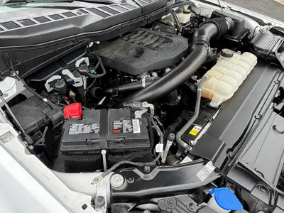 Used 2021 FORD F-150 Pickup Trucks Florida US | Truck and Van Outlet #1509181