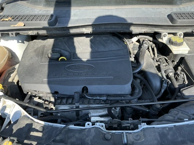 Used 2017 FORD ESCAPE Utility Vehicles Michigan US | Miedema Asset Management Group #1732721