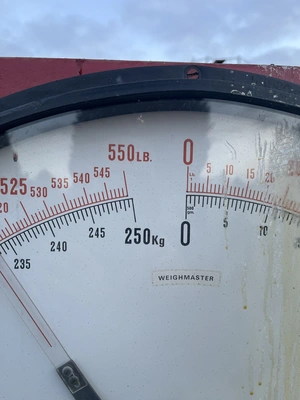 250 Kg Dial Weighmaster Scale