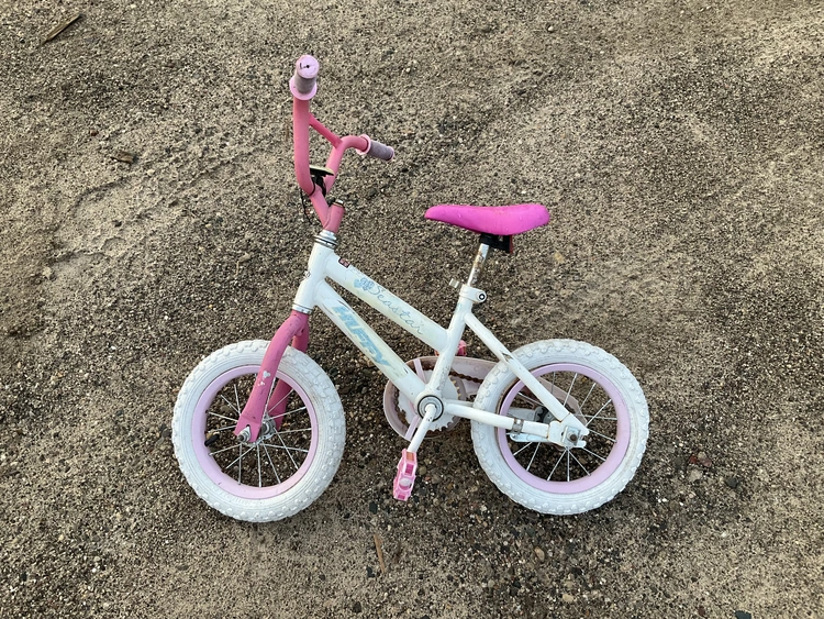 Used _UNKNOWN_ _UNKNOWN_ Bicycles Michigan US | Miedema Asset Management Group #1413668