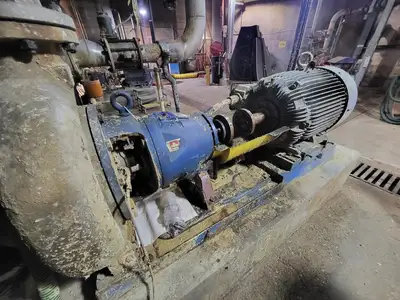 USED GOULDS 3175M