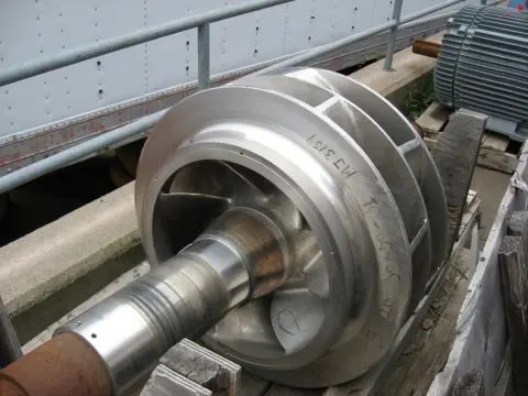 GouldsRotating Assembly SS