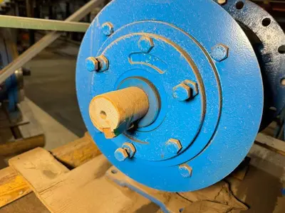 USED GOULDS 3196