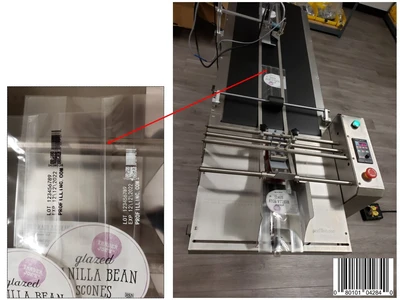 Bag Sorting Conveyor #42840