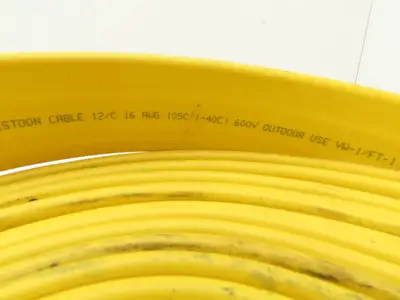 Festoon Cable Outdoor E60362H Multi-Conductor Flat Cable 12 Wire 16AWG 600V 30'