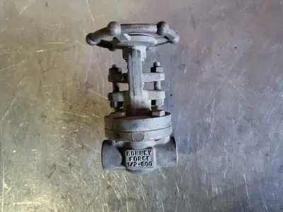 1/2" Class 800 Gate Valve B16.34
