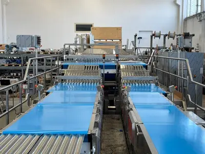New | in-Stock 2022 FOOD PROCESS EQUIPMENT (FPE) BISCUIT SANDWICHING SYSTEMS Sandwich Machines Texas US | Bakery Machinery and Engineering #1770249