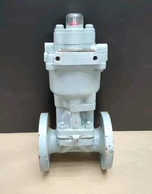 NEW Nippon Daiya Valve Co. LTD HN14N-08
