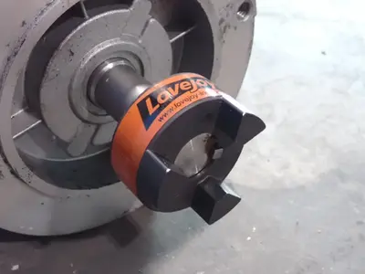 Reliance Electric  Motor