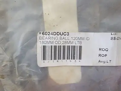 Deep Groove Ball Bearing 6024LLUC3