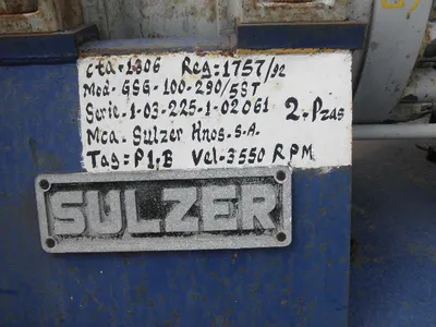 USED SULZER BINGHAM GSG-100-290/5ST