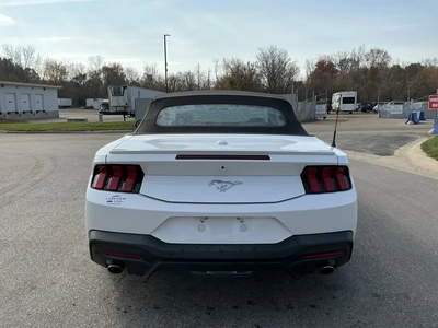 Used 2024 FORD MUSTANG Cars Michigan US | Miedema Asset Management Group #1579884